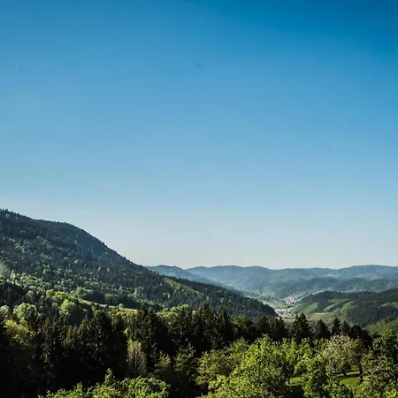 Alojamento de Turismo Rural Loecherhansenhof *