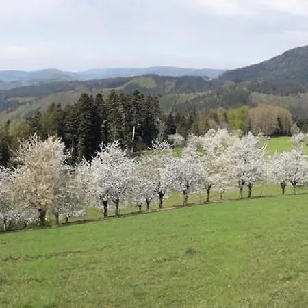 Loecherhansenhof Alojamento de Turismo Rural