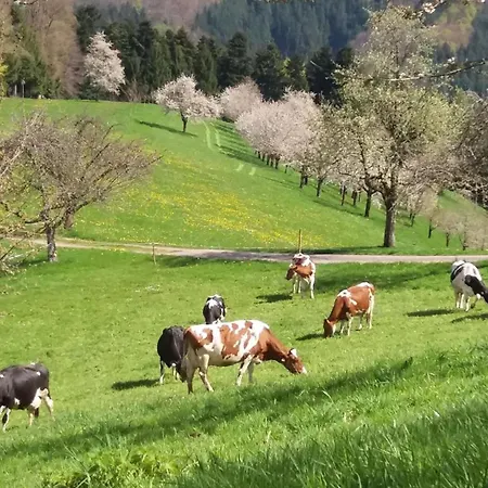 Loecherhansenhof