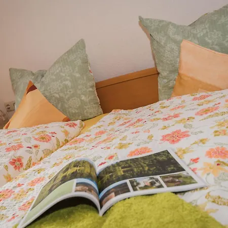 Loecherhansenhof * Bad Peterstal-Griesbach