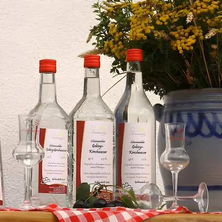 Loecherhansenhof Alojamento de Turismo Rural