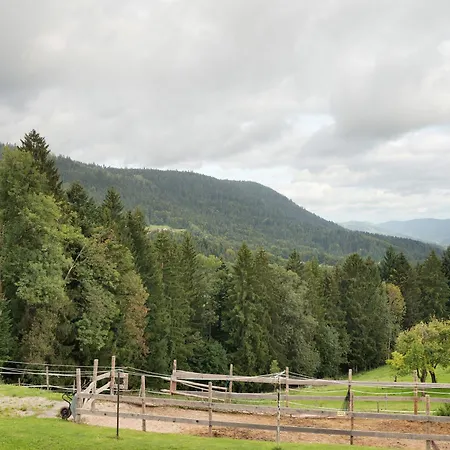 Loecherhansenhof Bad Peterstal-Griesbach