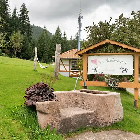 Farm stay Loecherhansenhof Bad Peterstal-Griesbach